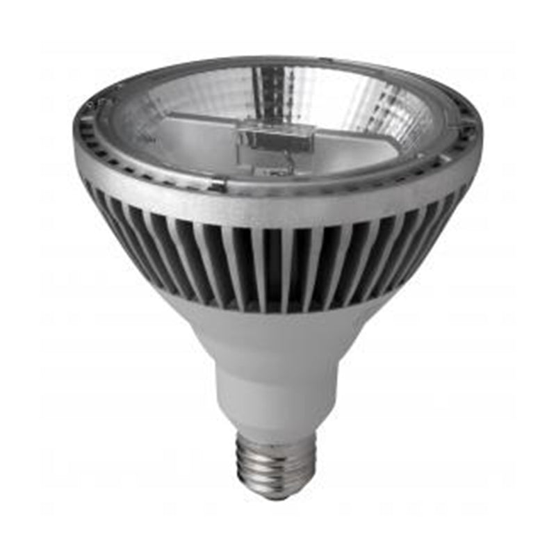 25 watt LED PAR38 Lamp with E26 Base