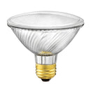 PAR 30 Halogen Lamp