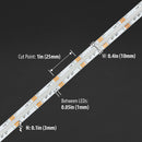 RGB Dotless COB LED Strip Lights (Color Changing)