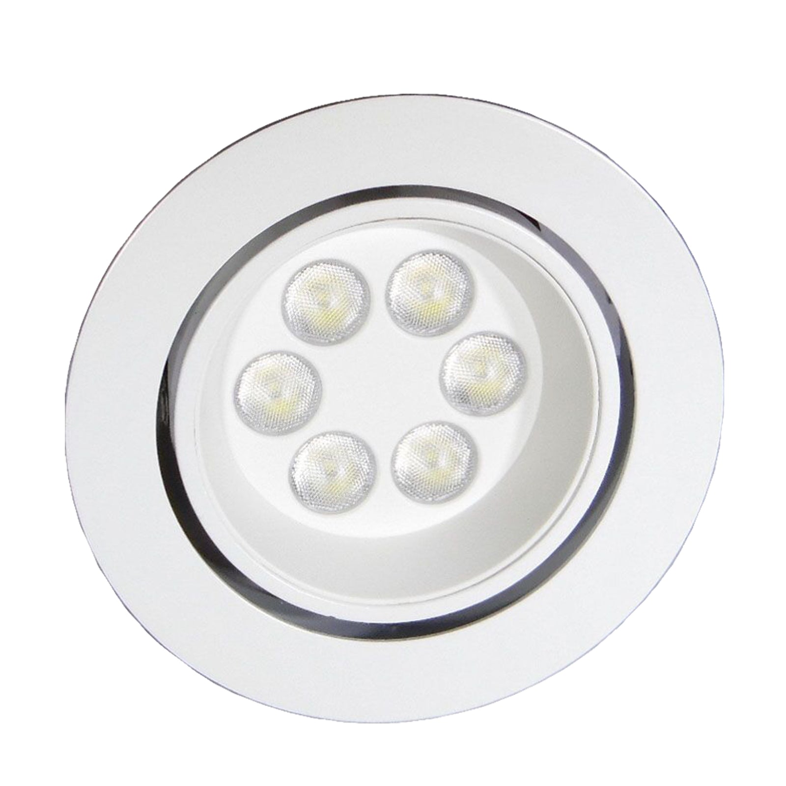 Recessed LED Spot Light | Big 6 - 2 LED Light
