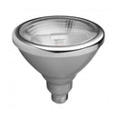 18 Watt LED PAR38 Replacement Lamp