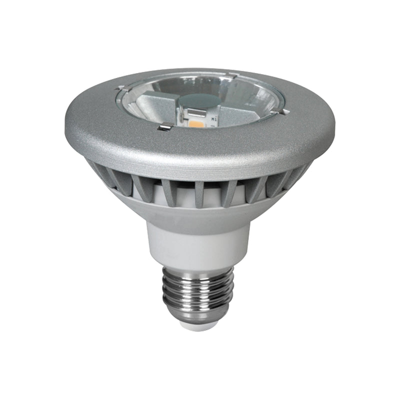 PAR 30S LED Replacement Lamp